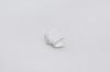 RIBBON END 10X6MM PLAT.COL 30P